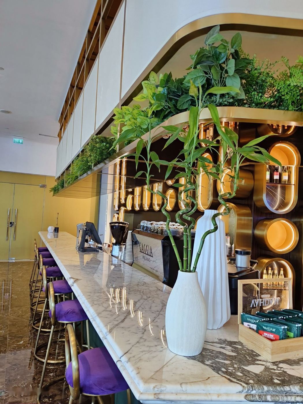 Indoor plants above a bar counter in a restaurant