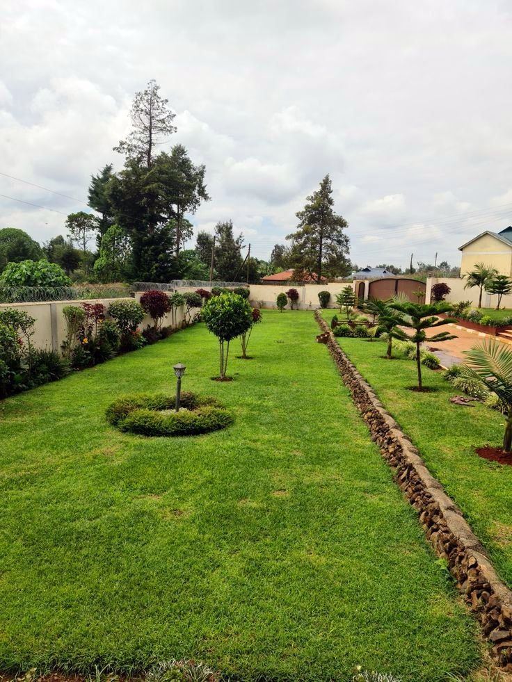 Long lawn with a trimmed hedge border