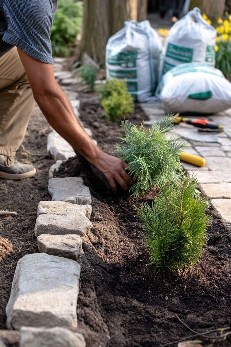 Planting shrubs along a stone-edged garden bed