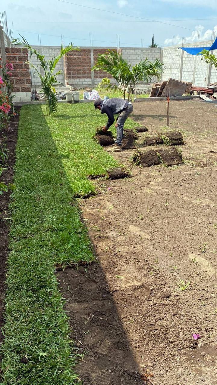 Laying turf along a new garden edge