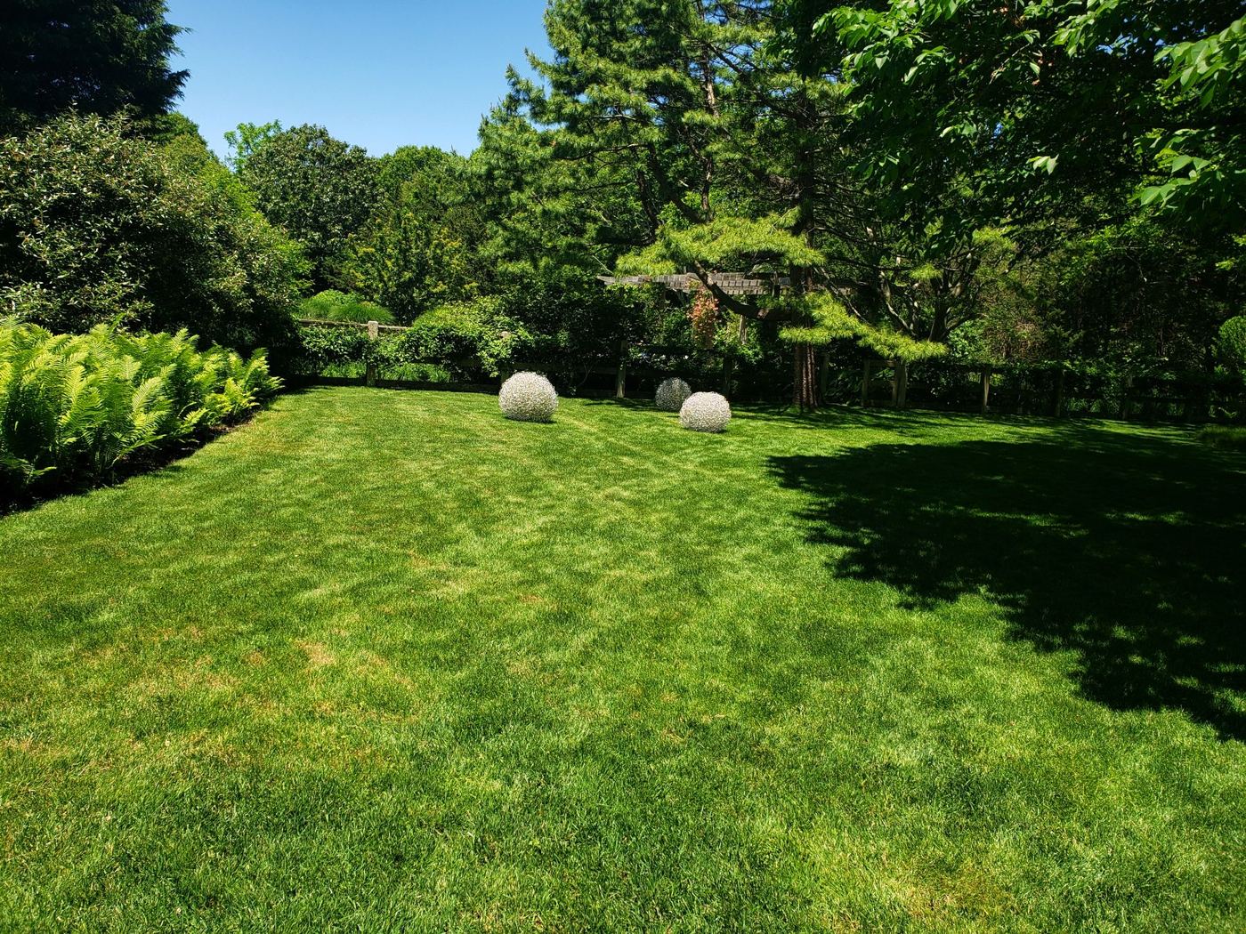 Neatly mown lawn with trees