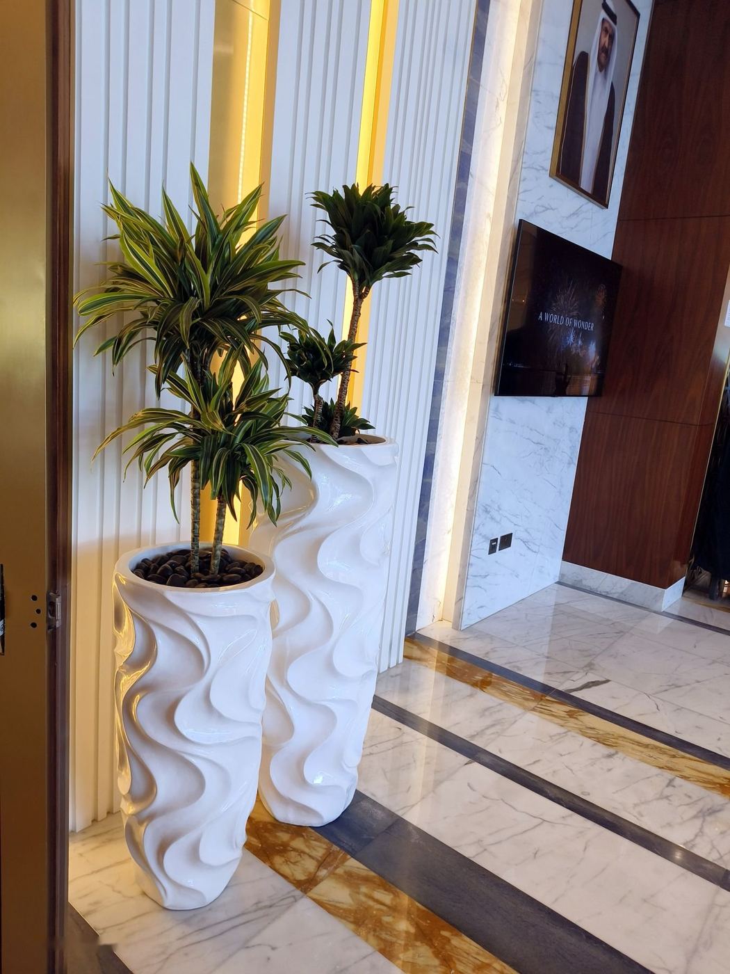 Dracaena in tall white sculpted pots in a lobby