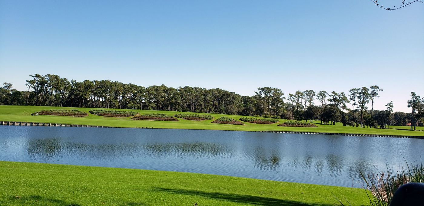 Lake edge and lawn on a large green estate