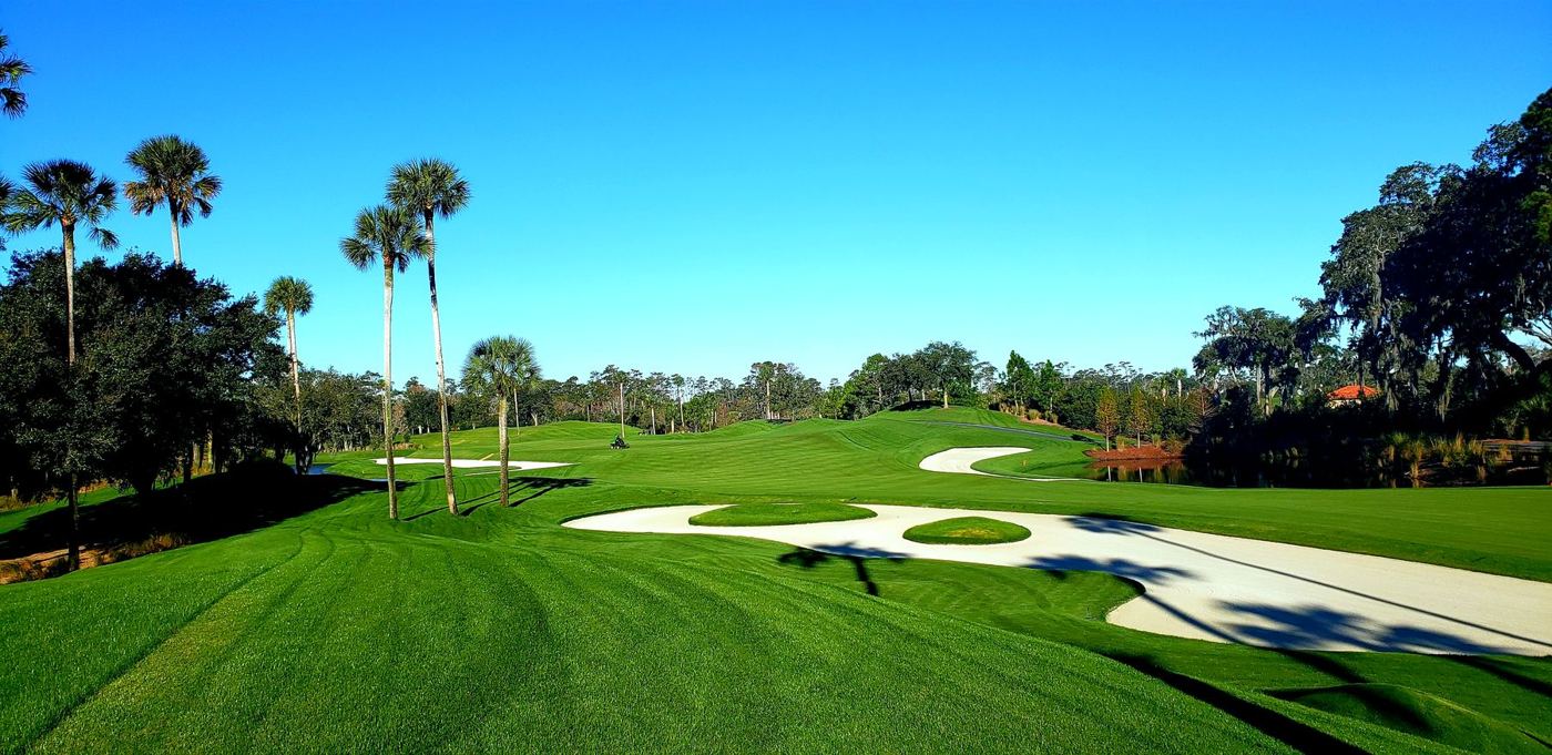 Sunlit lawn with palms and a sand bunker
